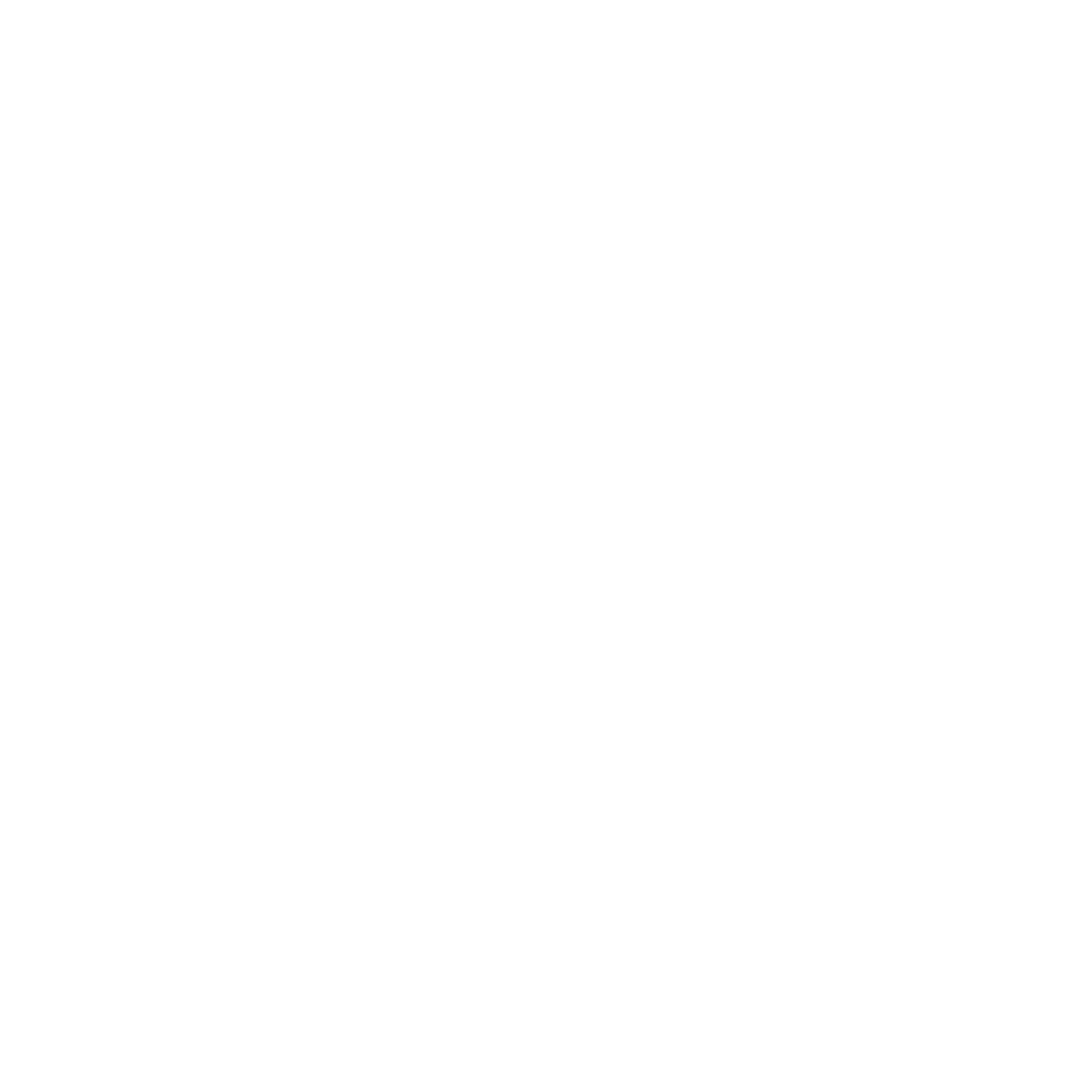 204 Digitale